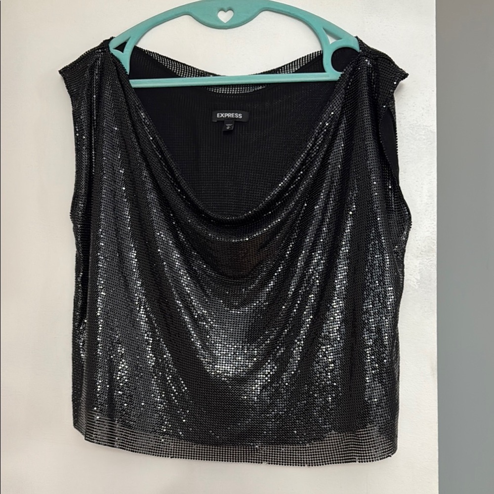 Express Shimmering Metal Mesh and Lined Blouse